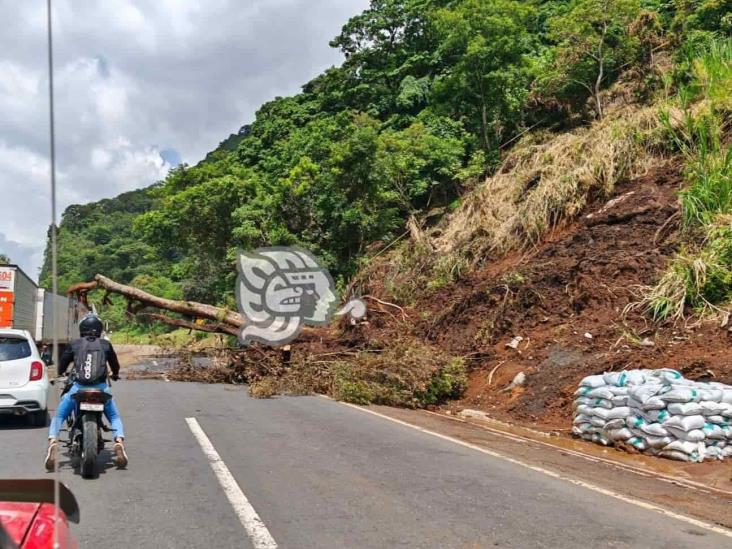 ¡Atento! Desgajamiento de cerro bloquea la autopista Puebla-Orizaba