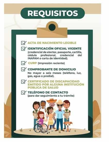 Si necesitas acceder a pensión por discapacidad, estos son los requisitos