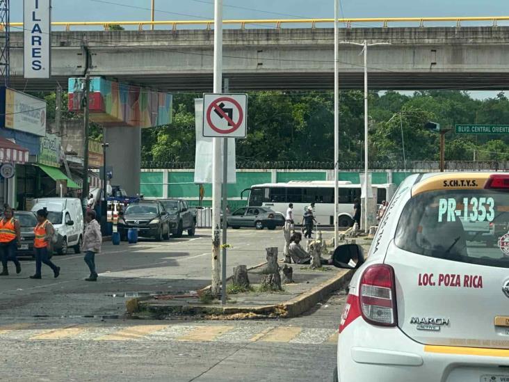 Por mejoramiento de imagen de Poza Rica tumban árboles