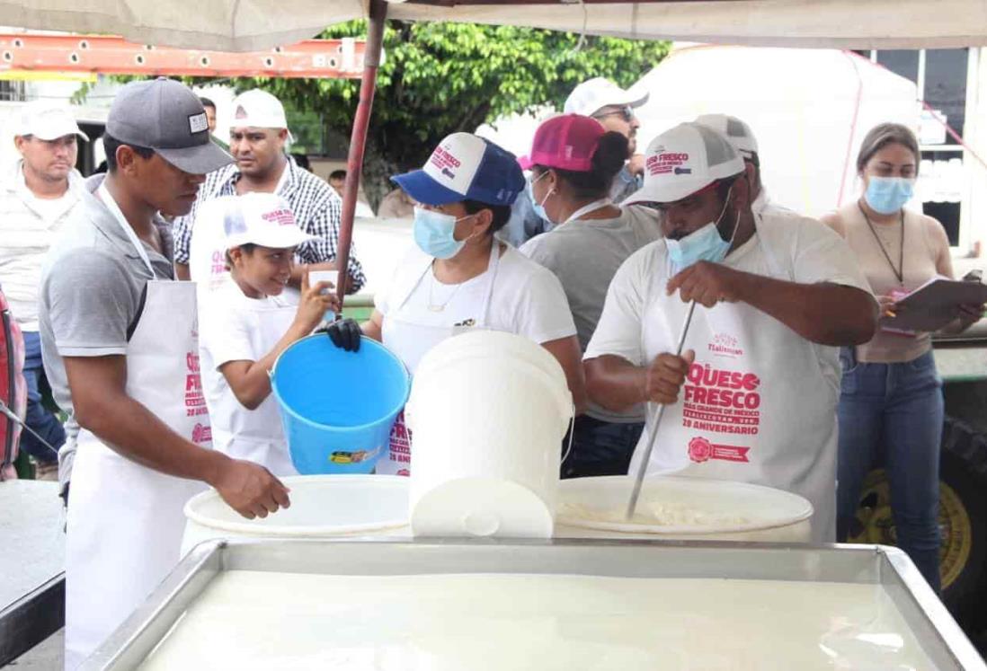 Así se prepara el queso fresco más grande de México en Tlalixcoyan | VIDEO