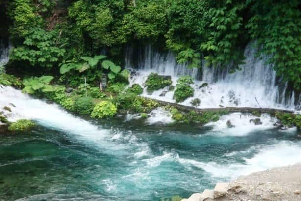 Las cascadas más bellas de Veracruz que tienes que visitar