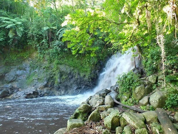 Las cascadas más bellas de Veracruz que tienes que visitar