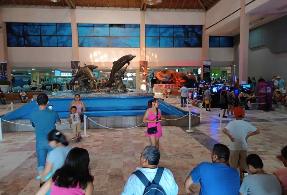 ¿Cuándo son las entradas gratis al Aquarium del Puerto de Veracruz?