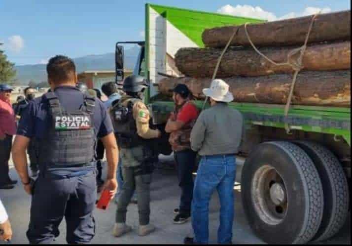 Taladores de Puebla depredan La Gloria; Alcalde de Perote pide apoyo federal