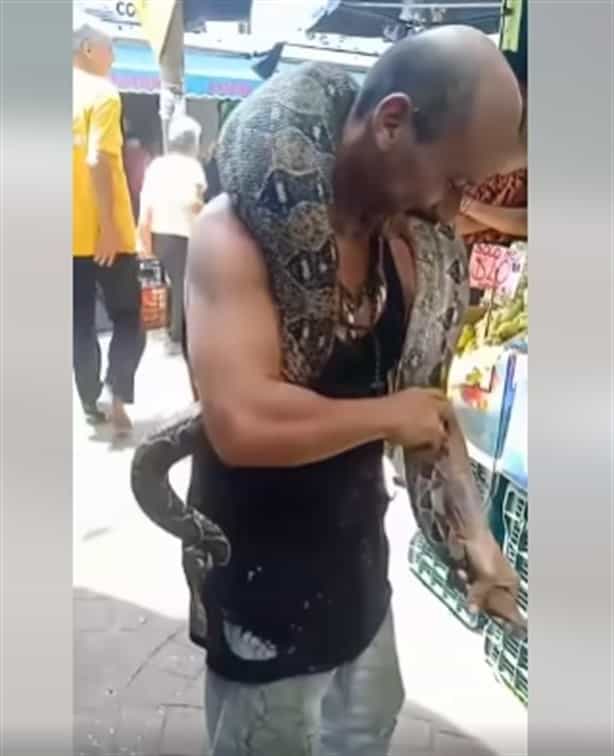 Serpiente se traga a perro en Veracruz | VIDEO