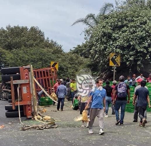 Tráiler cargado con pollos vuelca en la Orizaba- Puebla y se desata la rapiña