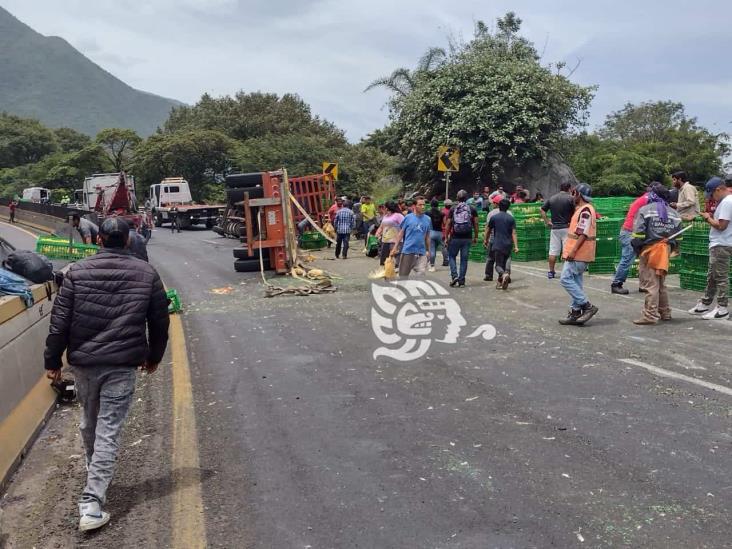 Tráiler cargado con pollos vuelca en la Orizaba- Puebla y se desata la rapiña