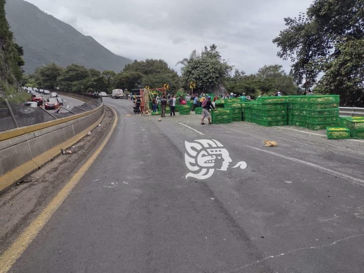 Tráiler cargado con pollos vuelca en la Orizaba- Puebla y se desata la rapiña