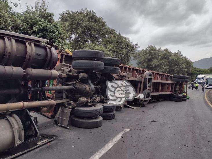 Tráiler cargado con pollos vuelca en la Orizaba- Puebla y se desata la rapiña