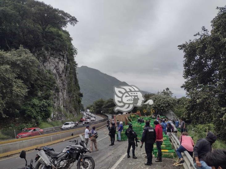 Tráiler cargado con pollos vuelca en la Orizaba- Puebla y se desata la rapiña