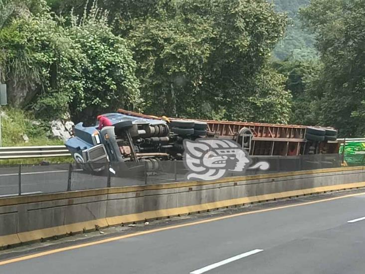 Tráiler cargado con pollos vuelca en la Orizaba- Puebla y se desata la rapiña