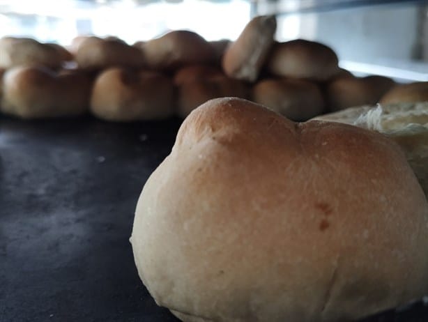 Panadería Don Carlos,  un rincón en Los Tecajetes de Xalapa, que visitan hasta las estrellas (+Video)