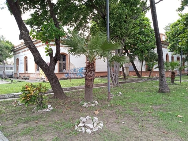 ¿Qué pasó con las “nenis” que se ponían en el expenal de Allende, en Veracruz?