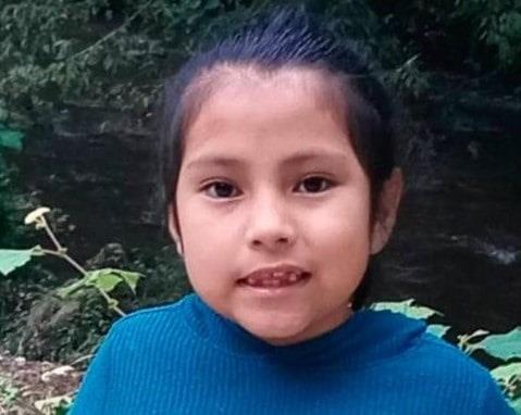 Buscan a niña de 7 años desaparecida en Banderilla