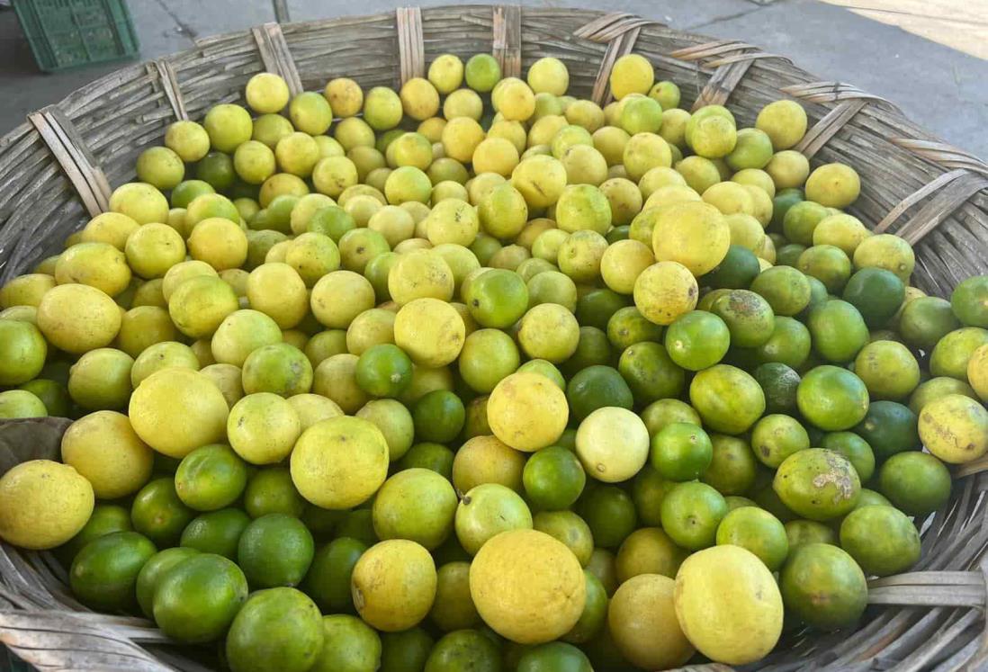 Sube el precio del limón en Veracruz; está en 40 pesos el kilo y prevén siga subiendo