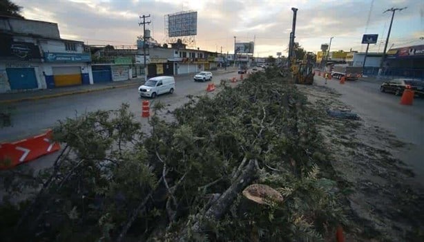 Estas son las 6 zonas protegidas de Xalapa