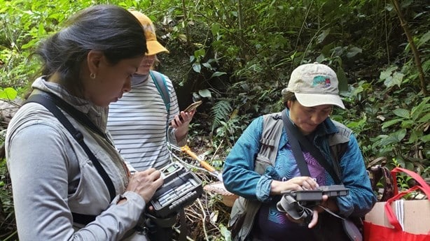 Buscan preservar Cerro del Algodón en Misantla; elaboran ‘Plan de Manejo Integral’