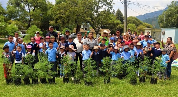 Con ahuehuetes, buscan reforestar a Ciudad Mendoza