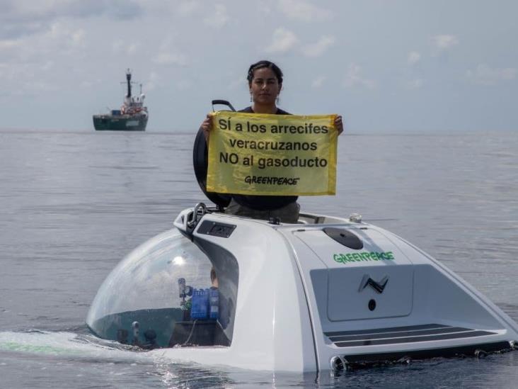 Hallazgo coralino y de especies en Veracruz enciende controversia con gasoducto