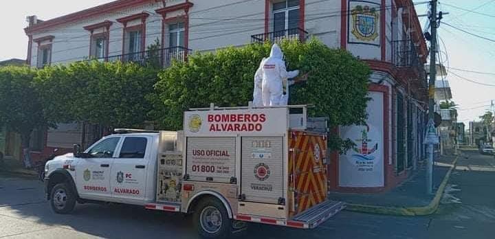 Bomberos retiran colonia de abejas en árbol de Alvarado