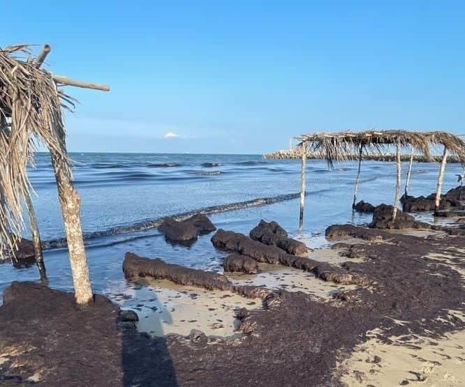 Descartan contaminación con hidrocarburo en Tuxpan; llega sargazo a playa