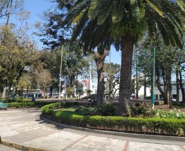 Xalapa, una ciudad rica en biodiversidad ¿conoces su flora y fauna?