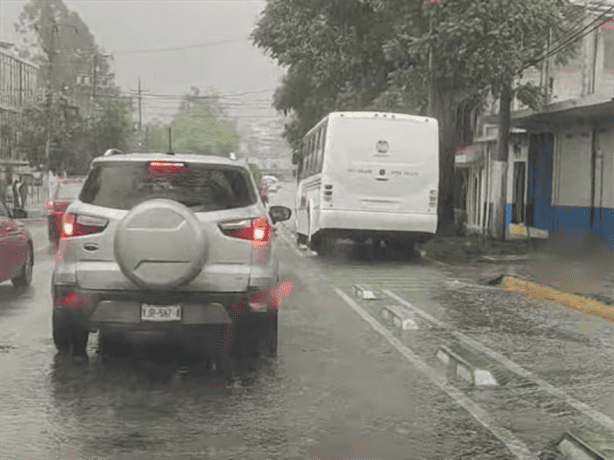 Xalapa, entre las ciudades de Veracruz con ciclovía Un paso a la cultura vial