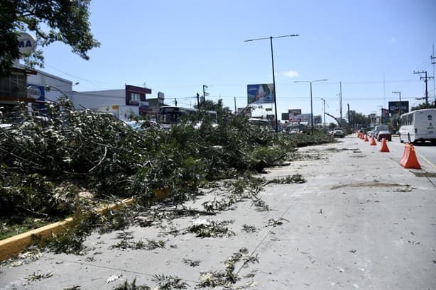 Revés a Gobierno de Veracruz, juez falla contra obra de puente en Xalapa; SIOP incumple ley