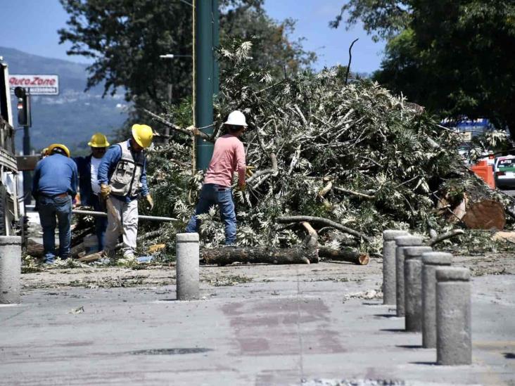 Revés a Gobierno de Veracruz, juez falla contra obra de puente en Xalapa; SIOP incumple ley