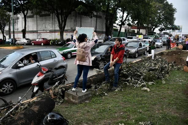 Revés a Gobierno de Veracruz, juez falla contra obra de puente en Xalapa; SIOP incumple ley