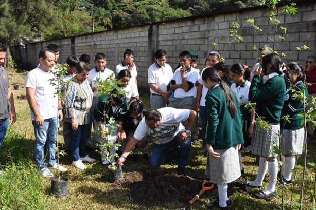 ‘Ambientón’ logra recolectar 50 toneladas de llantas en Orizaba