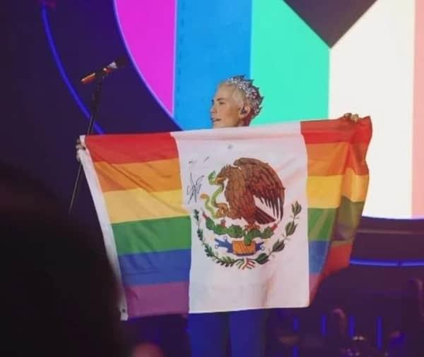 Christian Chávez modifica la bandera de México durante show, ¿hay sanciones por hacerlo?