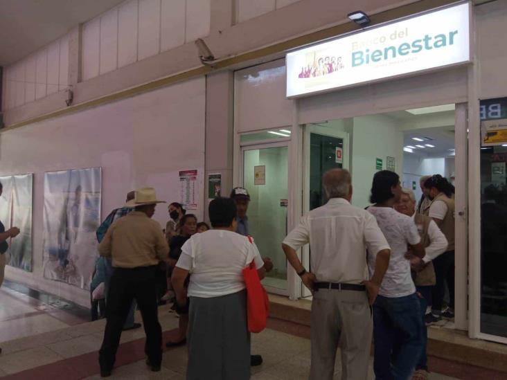 Comenzó en Xalapa pago de Pensiones Bienestar; ¿cuándo te toca? (+Video)