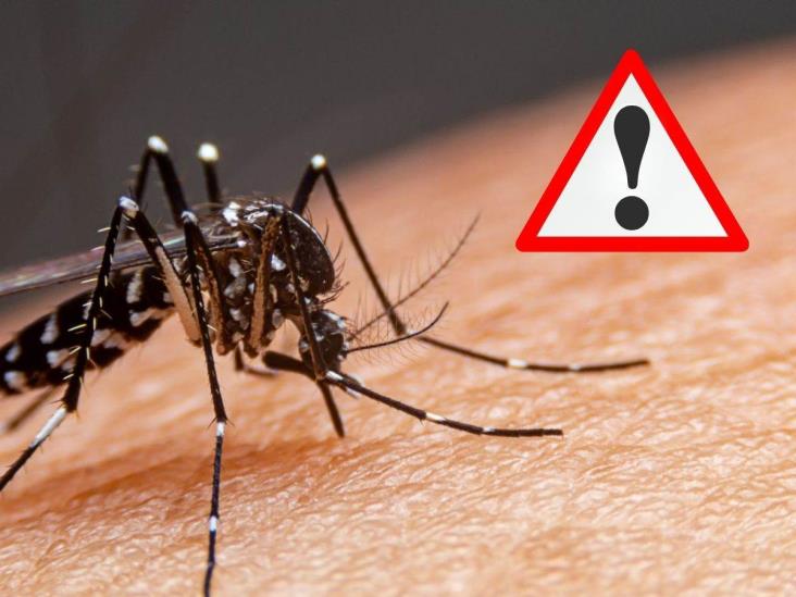 Alertan por repunte de dengue en zona centro de Veracruz