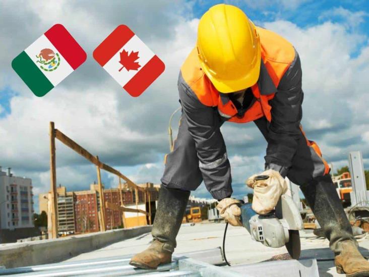 ¿Buscas trabajo? Canadá ofrece vacante con sueldo de 59 mil pesos