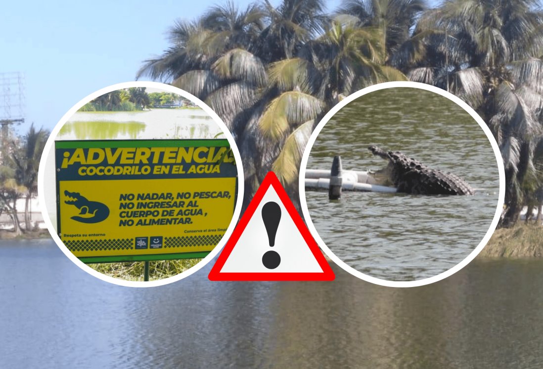 Con letrero, advierten de cocodrilo en laguna de Veracruz