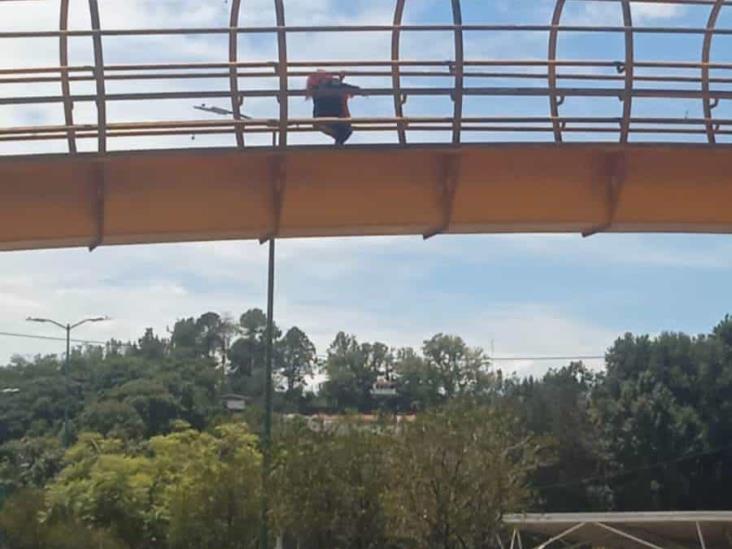 ¡Alerta en Xalapa! Mujer intenta arrojarse de puente peatonal