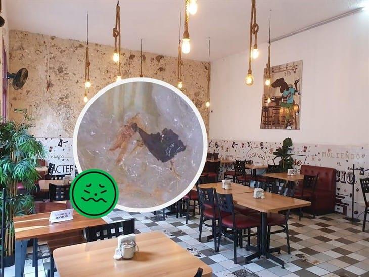 La cafetería 23 de Xalapa Tan bueno para ser real