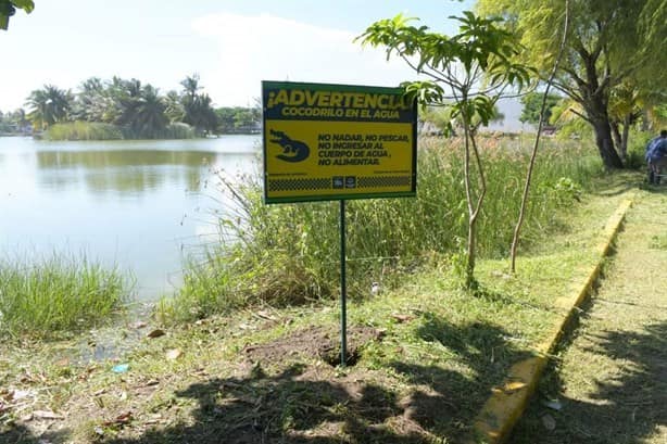 Instalan señaléticas en lagunas de Veracruz por posibles avistamientos de cocodrilos y boas | VIDEO