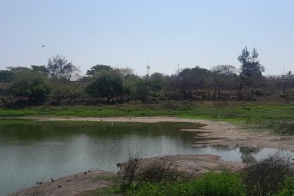 Invitan a reforestar la Laguna El Encanto en el Coyol