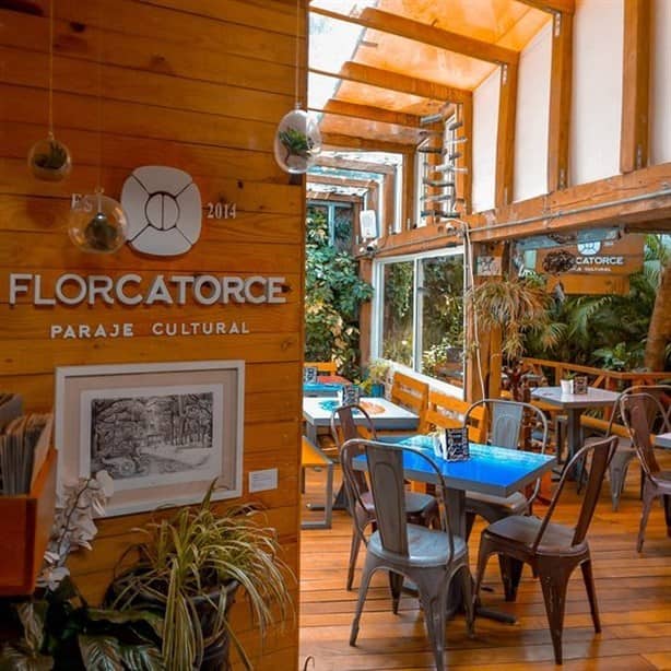 Las mejores cafeterías de Xalapa ¡Te encantarán!