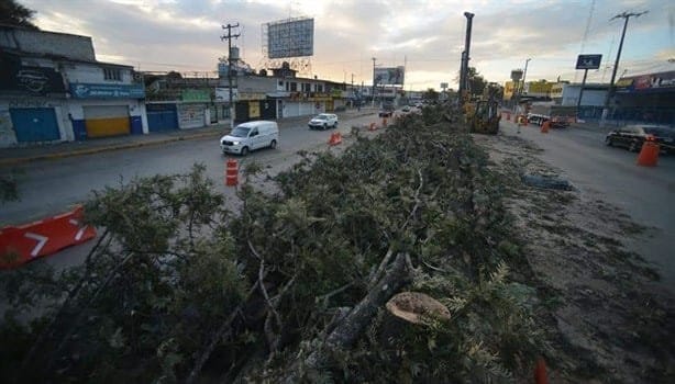 Amparo por árboles  en Xalapa no frena obra del puente en Urban Center: SIOP