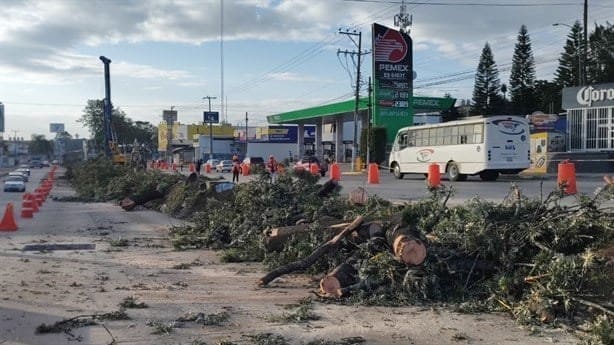 Amparo por árboles  en Xalapa no frena obra del puente en Urban Center: SIOP