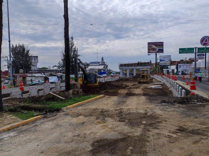 Amparo por árboles  en Xalapa no frena obra del puente en Urban Center: SIOP