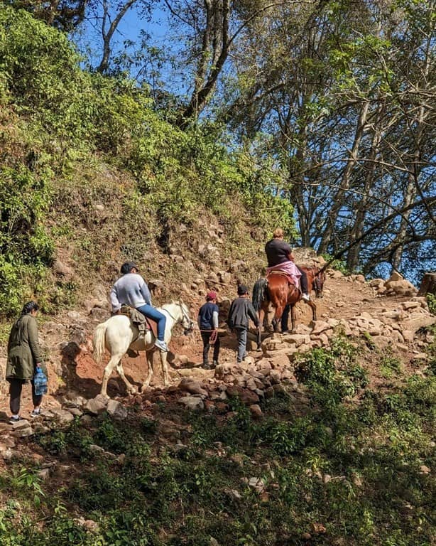 Las cabañas más bonitas de Veracruz, están en Xico