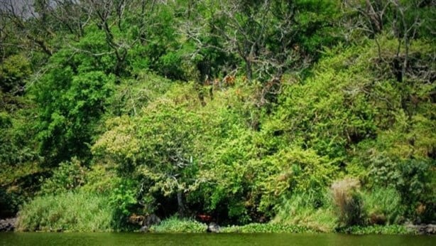 Este pequeño municipio de Veracruz es un verdadero paraíso escondido, conócelo