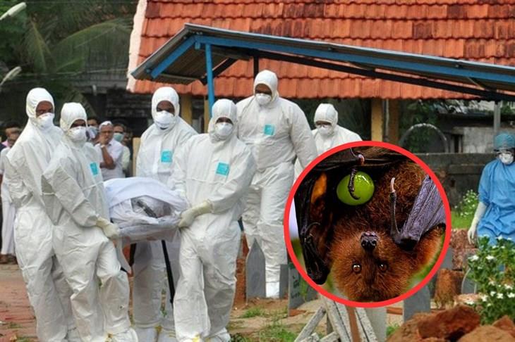 El virus Nipah pone en alerta a India 