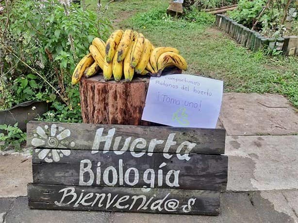 ¿Qué cultivos se dan en Xalapa?