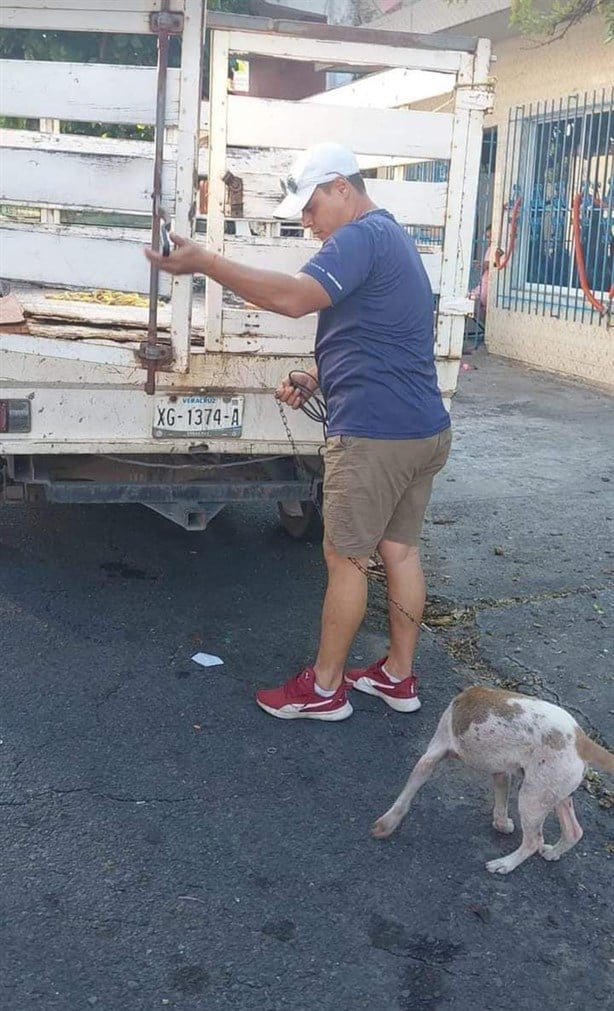 Rescatan a perrito maltratado en Veracruz