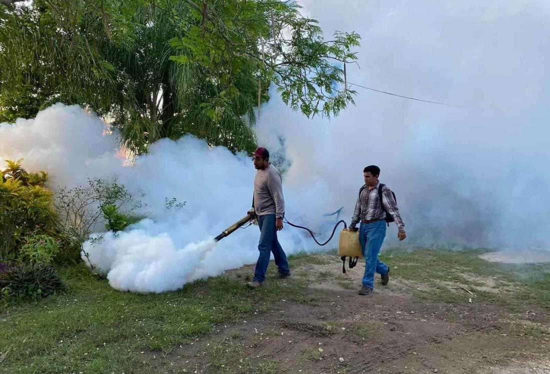 Veracruz, segundo estado con más casos de dengue en México